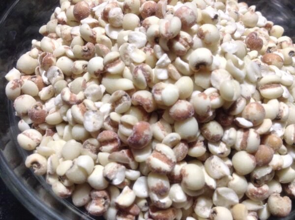 adlai whole grain(1) adlai whole grain